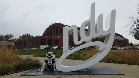 indy dog sign