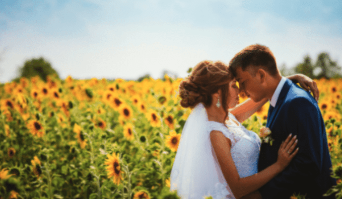 bride groom sunflower